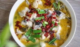 最新爆料酸菜鱼视频大全,美味诱惑来袭！